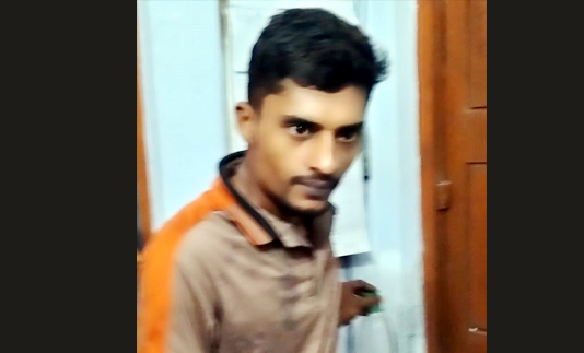 দিঘলিয়ায় পিতা-মাতাকে মারধর, সন্তানের ২ বছরের কারাদণ্ড